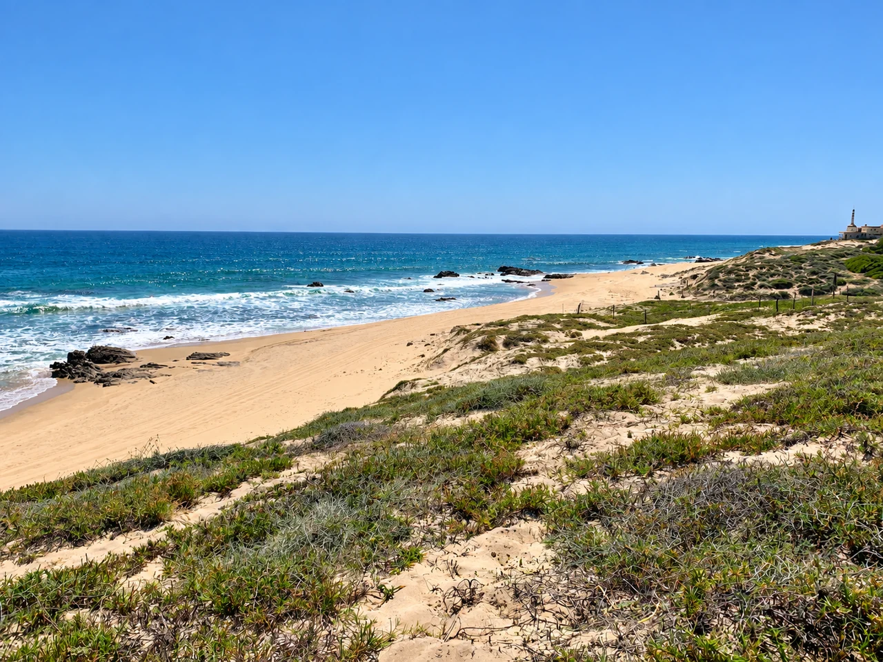 Dunas y playa del nuevo territorio