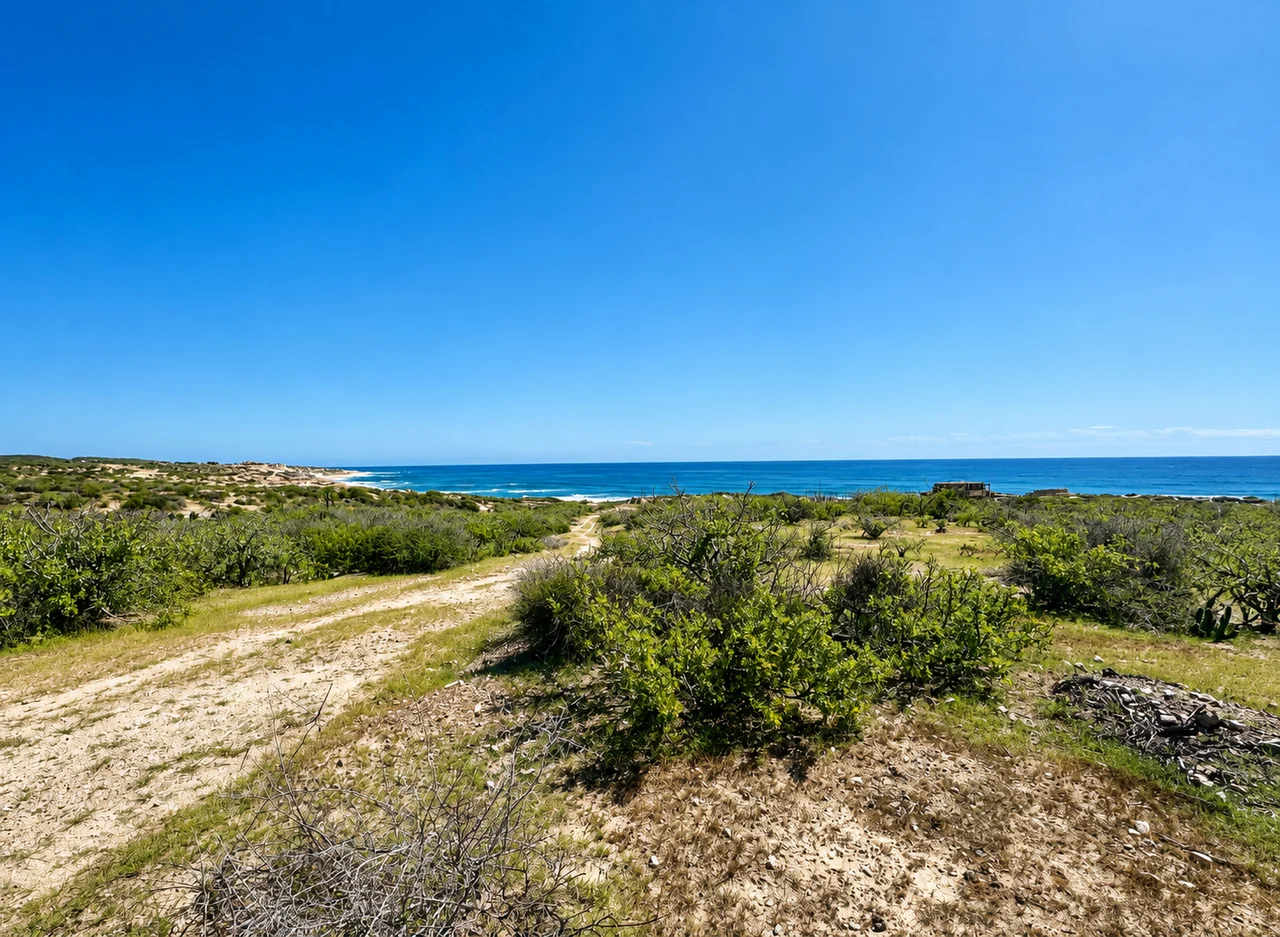 Sendero entre vegetación nativa con vista al mar