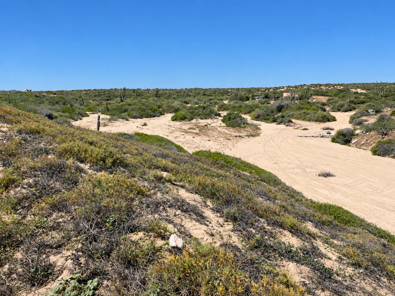 Caminos de arena dentro del terreno